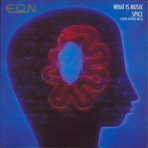 E�n What Is Music 12" vinyl single (12 inch record / Maxi-single) UK EQN12WH780183