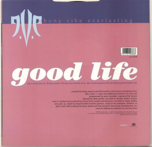 Ebony Vibe Everlasting Good Life 12" vinyl single (12 inch record / Maxi-single) UK ECJ12GO700277
