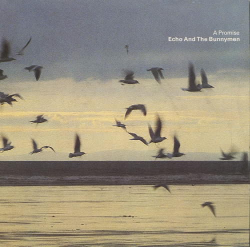 Echo & The Bunnymen A Promise 7" vinyl single (7 inch record / 45) UK ECH07AP31714