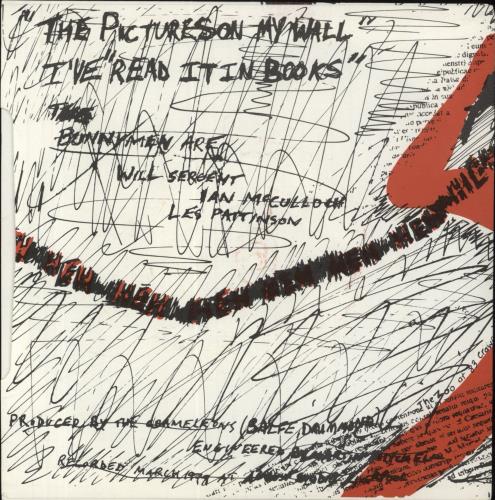 Echo & The Bunnymen The Pictures On My Wall - 5th 7" vinyl single (7 inch record / 45) UK ECH07TH681913