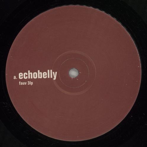 Echobelly Everyone's Got One vinyl LP album (LP record) UK ECBLPEV765817