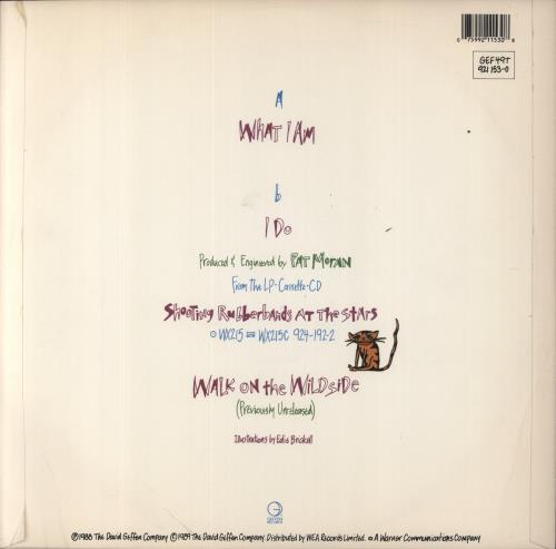 Edie Brickell What I Am 12" vinyl single (12 inch record / Maxi-single) UK EDI12WH546569