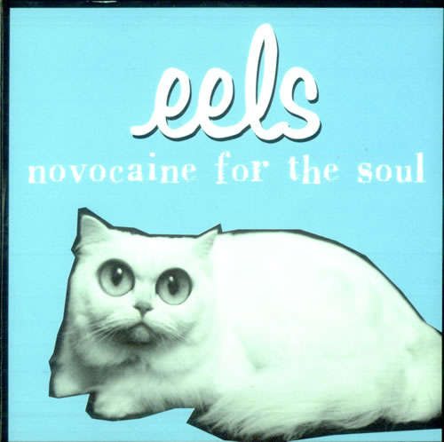 Eels Novocaine For The Soul CD single (CD5 / 5") French EELC5NO513444