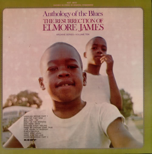 Elmore James Resurrection Of Elmore James vinyl LP album (LP record) US EMJLPRE542273