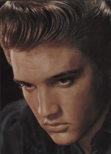 Elvis Presley Elvis book UK ELVBKEL302760