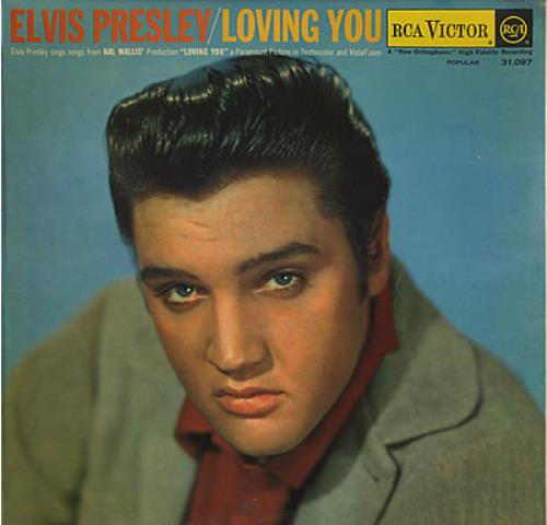 Elvis Presley Loving You vinyl LP album (LP record) South African ELVLPLO371499