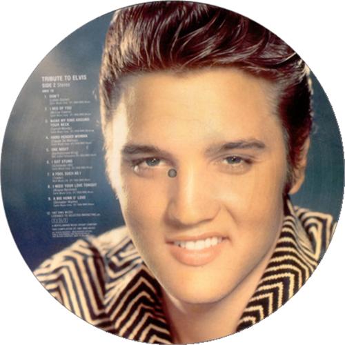 Elvis Presley Tribute To Elvis - Disc One picture disc LP (vinyl picture disc album) UK ELVPDTR426436