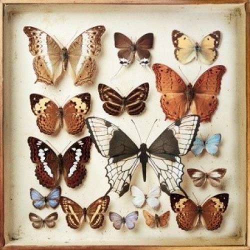 Emiliana Torrini Rarities 2 CD album set (Double CD) UK EIA2CRA518547