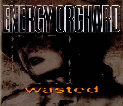 Energy Orchard Wasted CD single (CD5 / 5") UK ENGC5WA499881