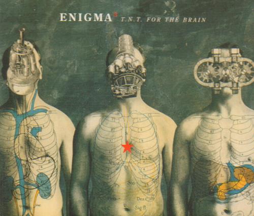 Enigma TNT For The Brain CD single (CD5 / 5") Dutch ENIC5TN673688