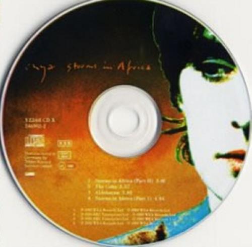 Enya Storms In Africa - Picture CD CD single (CD5 / 5") UK ENYC5ST34367