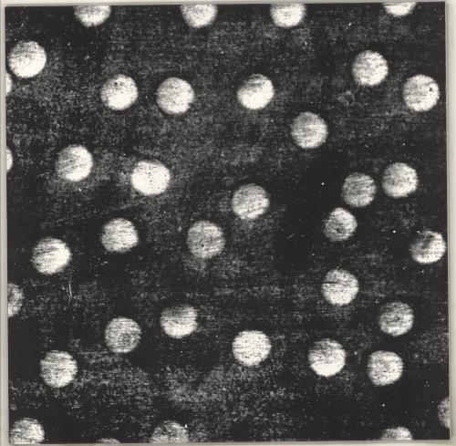 Ephemeral Molecular Clouds EP 12" vinyl single (12 inch record / Maxi-single) Portuguese 0TK12MO735348