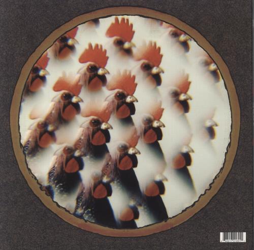 Errors Come Down With Me vinyl LP album (LP record) UK G34LPCO797954