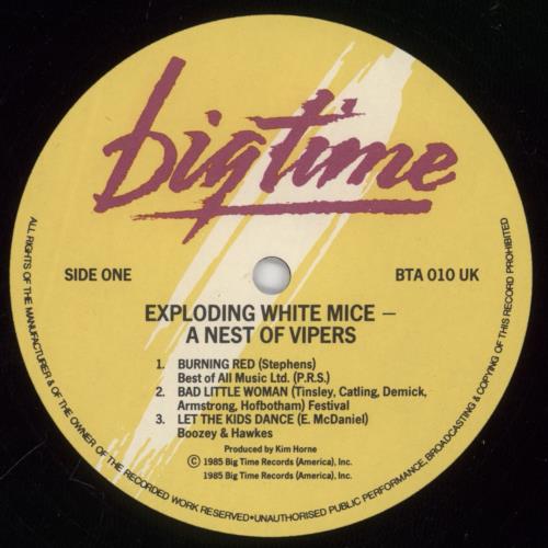 Exploding White Mice In A Nest Of Vipers vinyl LP album (LP record) US E5PLPIN891398