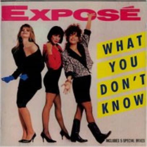 Expose What You Don't Know CD single (CD5 / 5") Japanese EXPC5WH130691