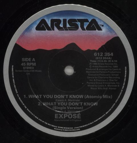 Expose What You Don't Know 12" vinyl single (12 inch record / Maxi-single) UK EXP12WH84969