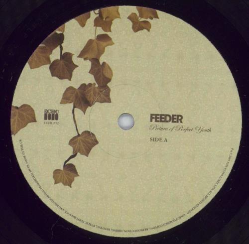 Feeder Picture Of Perfect Youth - Numbered 3-LP vinyl record set (Triple LP Album) UK FEE3LPI390694