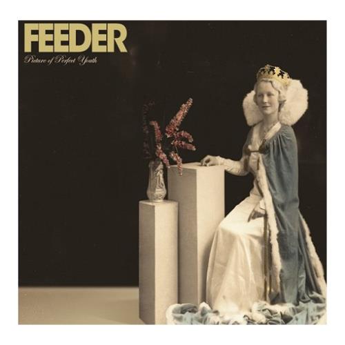 Feeder Picture Of Perfect Youth 2 CD album set (Double CD) UK FEE2CPI390691