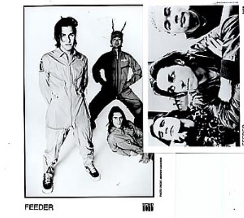 Feeder Set Of Two Promotional Photographs photograph UK FEEPHSE278735