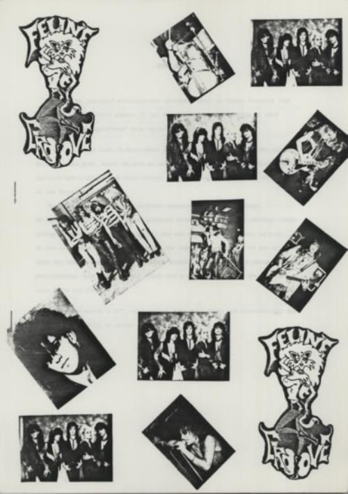 Feline Groove Feline Groove media press pack UK F6LPPFE615450