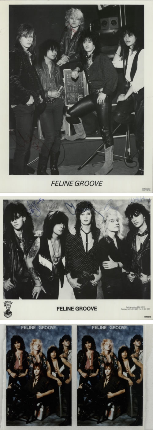 Feline Groove Feline Groove media press pack UK F6LPPFE615450