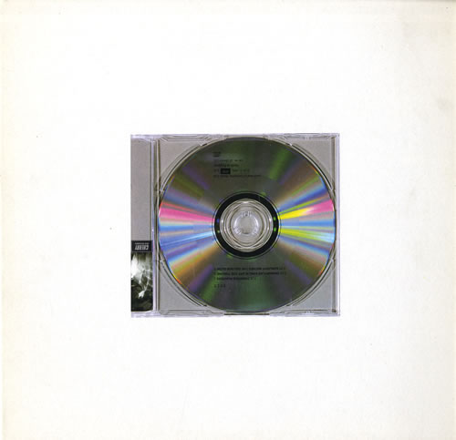 Felt Primitive Painters 12" vinyl single (12 inch record / Maxi-single) UK FLT12PR552571