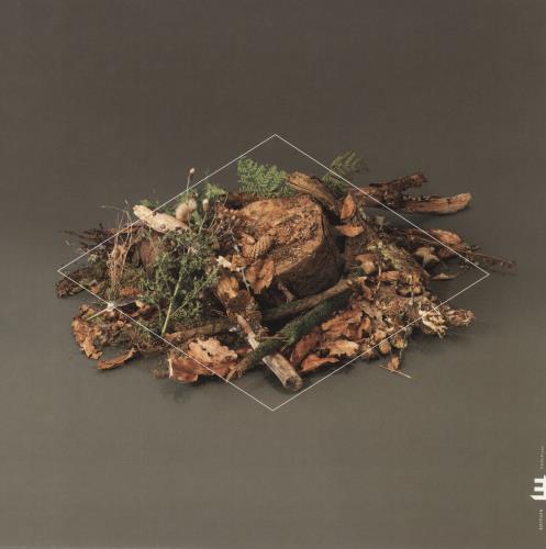 Fergus McCreadie Forest Floor - Gold Marbled Vinyl vinyl LP album (LP record) UK 679LPFO835957