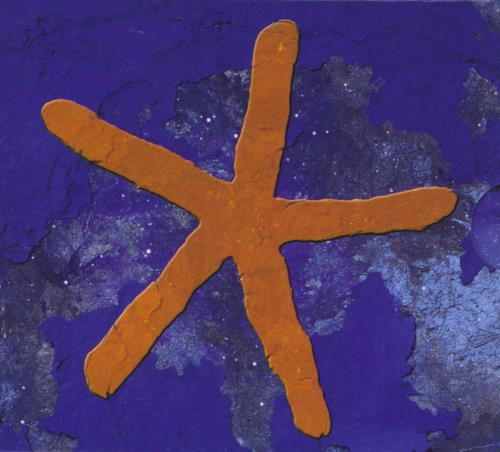 Fish 13th Star + Bonus DVD 2 CD album set (Double CD) UK FIS2CTH791455