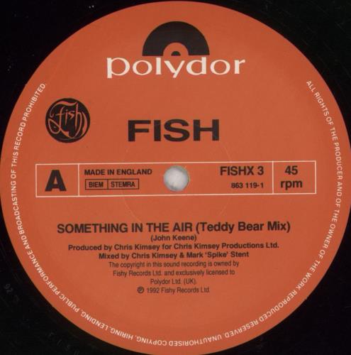 Fish Something In The Air 12" vinyl single (12 inch record / Maxi-single) UK FIS12SO19965