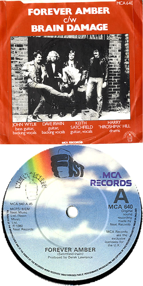 Fist Forever Amber 7" vinyl single (7 inch record / 45) UK FST07FO624057