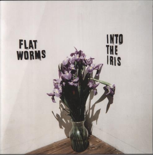 Flat Worms Into The Iris 12" vinyl single (12 inch record / Maxi-single) US 15A12IN858672