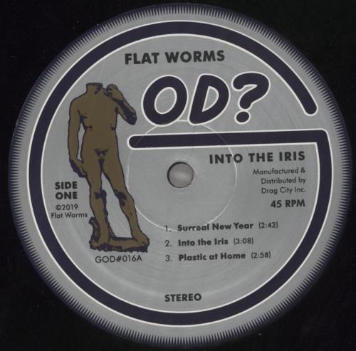 Flat Worms Into The Iris 12" vinyl single (12 inch record / Maxi-single) US 15A12IN858672