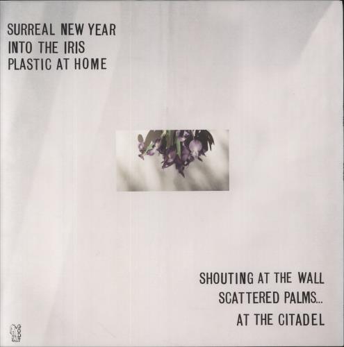 Flat Worms Into The Iris 12" vinyl single (12 inch record / Maxi-single) US 15A12IN858672