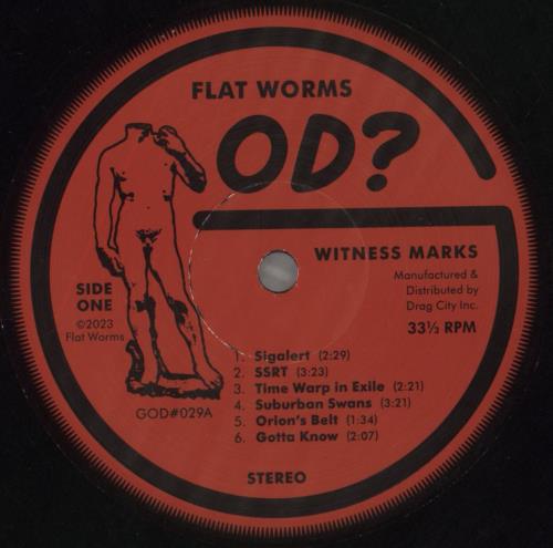 Flat Worms Witness Marks vinyl LP album (LP record) UK 15ALPWI858671