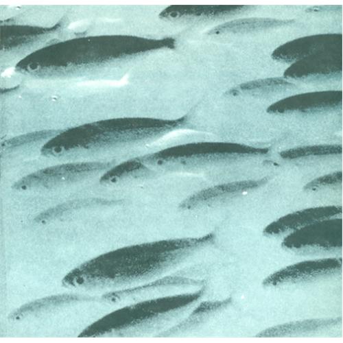 Flying Saucer Attack At Night 7" vinyl single (7 inch record / 45) UK FSA07AT415780