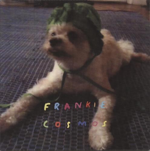 Frankie Cosmos Zentropy vinyl LP album (LP record) US 41ALPZE874475