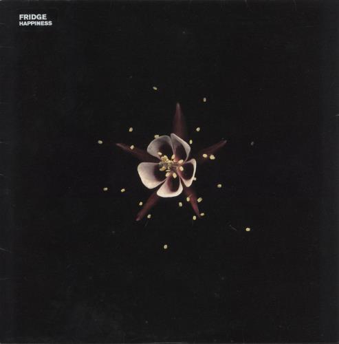 Fridge Happiness - EX 2-LP vinyl record set (Double LP Album) UK FGE2LHA880210