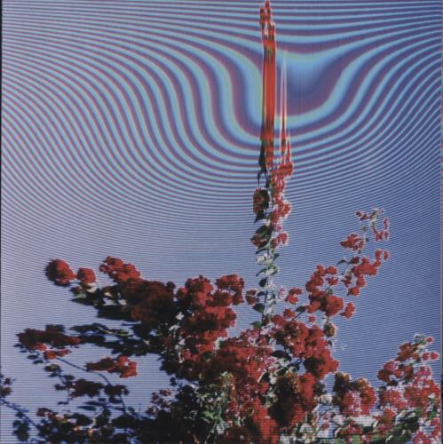 Friendly Fires Inflorescent vinyl LP album (LP record) UK FCMLPIN849662