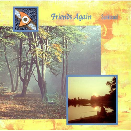 Friends Again Sunkissed 12" vinyl single (12 inch record / Maxi-single) UK FD512SU413539