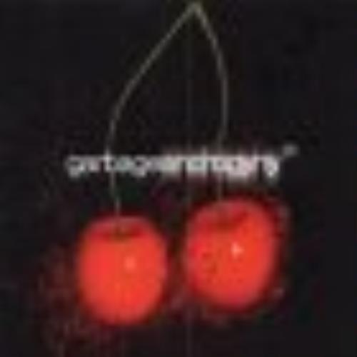 Garbage Androgyny CD single (CD5 / 5") Japanese GBGC5AN188418