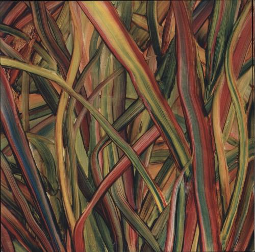 Gengahr Where Wildness Grows vinyl LP album (LP record) UK O5NLPWH779732