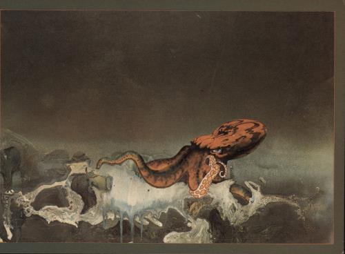 Gentle Giant Octopus - 2nd + Postcard vinyl LP album (LP record) UK GTLLPOC618205