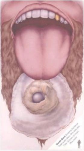 Gentle Giant Scraping The Barrel 4-CD album set US GTL4CSC338211