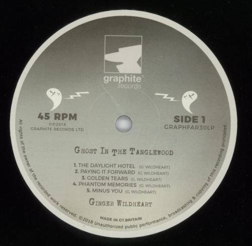 Ginger (Wildhearts) Ghost In The Tanglewood - 180gm vinyl LP album (LP record) UK IGELPGH804801