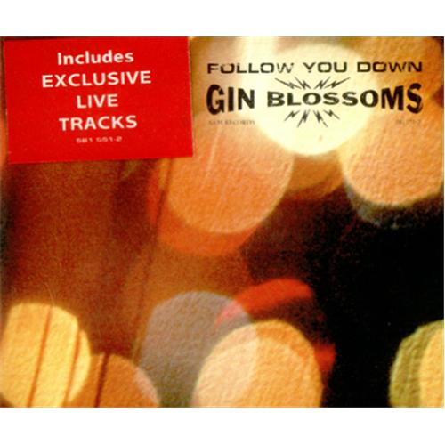 Gin Blossoms Follow You Down UK CD single (CD5 / 5") (426103)
