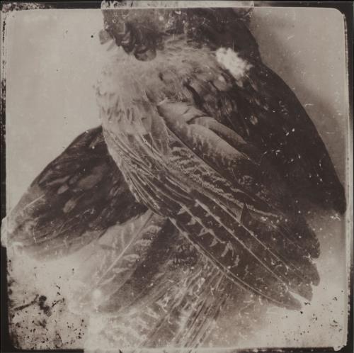 Glissando The World Without Us - Numbered + 12" Art Print vinyl LP album (LP record) UK Z3ILPTH750860