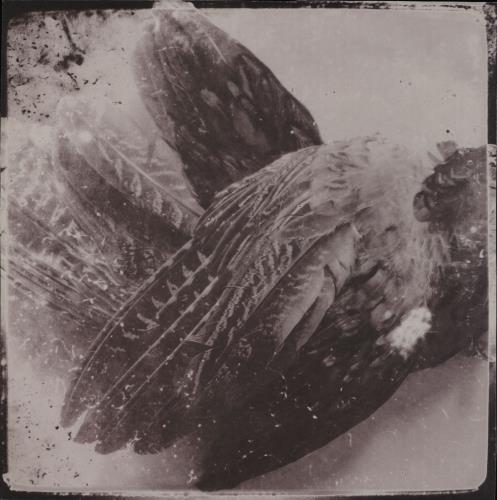 Glissando The World Without Us - Numbered + 12" Art Print vinyl LP album (LP record) UK Z3ILPTH750860