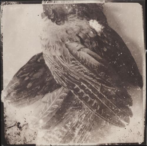 Glissando The World Without Us - Numbered Sleeve vinyl LP album (LP record) UK Z3ILPTH723697