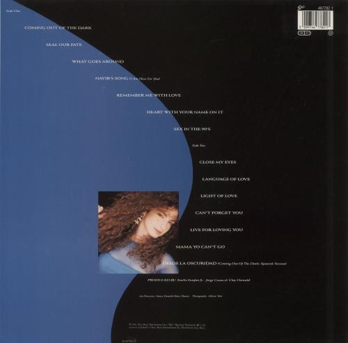 Gloria Estefan Into The Light vinyl LP album (LP record) Dutch ESTLPIN513421