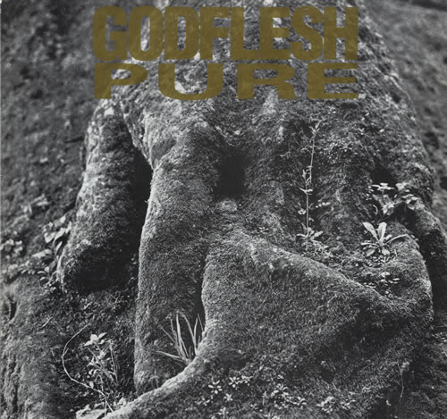 Godflesh Pure vinyl LP album (LP record) UK GA5LPPU553508